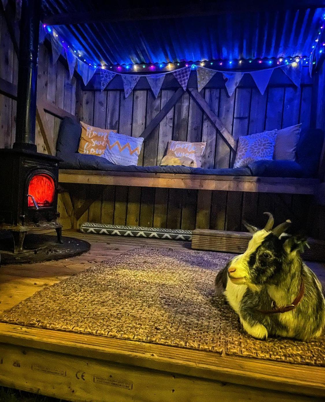 North Yorkshire Horse Box Hotel Екстериор снимка