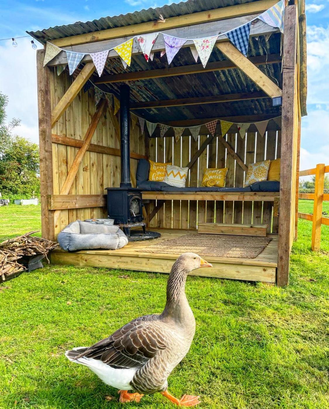 North Yorkshire Horse Box Hotel Екстериор снимка